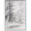 A RUSSIAN PENCIL PAINTING PINES BY ISAAC LEVITAN PIC-1