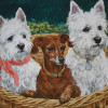 AMERICAN OIL PAINTING DOGS BY CONSTANCE COLEMAN PIC-1