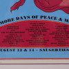 A VINTAGE WOODSTOCK 1994 SILKSCRENN POSTER PIC-3