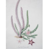 PAIR GERMAN SCHOOL BOTANICAL WATERCOLOR PAINTINGS PIC-2