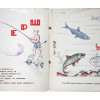 A SOVIET RARE VINTAGE CHILDREN BOOK RUFF FISH PIC-2