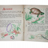 A RUSSIAN SOVIET VINTAGE CHILDREN BOOK HOUSES PIC-2