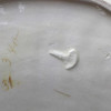 ANTIQUE ART NOUVEAU AUSTRIAN JULIUS DRESSLER DISH PIC-3