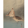 A VINTAGE JAPANESE ART PRINT BY OHARA KOSON PIC-1