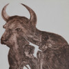 VINTAGE ABSTRACT ART ETCHING BULL WITH MATADOR PIC-1