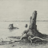 A RUSSIAN ETCHING TREE BY DMITRY KRASNOPEVTSEV PIC-1