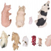 A COLLECTION OF VARIOUS PORCELAIN PIG FIGURINES PIC-3