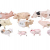 A COLLECTION OF VARIOUS PORCELAIN PIG FIGURINES PIC-4