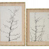 TWO ORIENTAL CHERRIES INK DRAWINGS SIGNED PIC-0