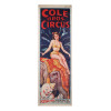 ORIGINAL VINTAGE COLE BROS CIRCUS PANEL POSTER PIC-0