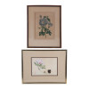 A PAIR OF BOTANICAL HAND COLORED ENGRAVINGS PIC-0