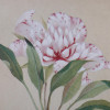 A PAIR OF BOTANICAL HAND COLORED ENGRAVINGS PIC-6