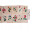 ANTIQUE 19 CENTURY HANDPAINTED ENGRAVINGS FLOWERS PIC-0