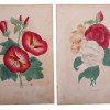 ANTIQUE 19 CENTURY HANDPAINTED ENGRAVINGS FLOWERS PIC-2