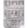 BASEBALL TRADING CARDS 1940S REPRINTS TWO ALBUMS PIC-7