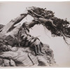 VINTAGE PHOTOS FROM GLASIER NATIONAL PARK PIC-2