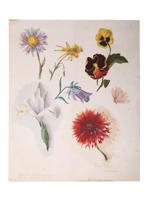 ANTIQUE BOTANICAL PAINTINGS BY ALBERT BAUR JUNIOR