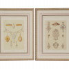 FOUR ANTIQUE FRAMED FRENCH JEWELRY DESIGNS PRINTS PIC-2