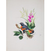 TWO VINTAGE HAND PAINTED WATERCOLOR BIRD DRAWINGS PIC-2