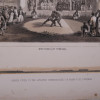 ANTIQUE JAPAN PERRY EXPEDITION COLOR LITHOGRAPHS PIC-5