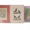COLLECTION OF VINTAGE BIRD WALL DECORATIONS PIC-3