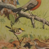 COLLECTION OF VINTAGE BIRD WALL DECORATIONS PIC-5