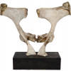 THE TOUCH BONE SCULPTURE SIGNED BY JERRY HARDIN PIC-1