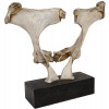 THE TOUCH BONE SCULPTURE SIGNED BY JERRY HARDIN PIC-0
