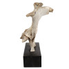 THE TOUCH BONE SCULPTURE SIGNED BY JERRY HARDIN PIC-3