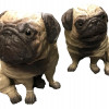 TWO AUSTRIAN TERRACOTTA FIGURINES OF PUGS C. 1890 PIC-5