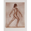 HELMUT NUTON LIKE FEMALE NUDE VINTAGE PHOTOGRAPH PIC-1