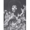 VINTAGE POSTER JIMI HENDRIX BY BRADFORD SALAMON PIC-1