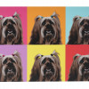 VINTAGE WALL PRINTS WITH DOGS AFTER ANDY WARHOL PIC-3