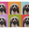 VINTAGE WALL PRINTS WITH DOGS AFTER ANDY WARHOL PIC-2