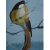 AMERICAN OIL BIRDS PAINTING SIGNED M. HENDERSON PIC-3