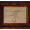 FRAMED INK PRINT ON PAPER AMERICAN EAGLE W ORBIS PIC-0