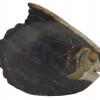 VINTAGE HAND PAINTED ART CERAMIC FISH SCULPTURE PIC-3