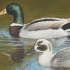 FRAMED OIL PAINTING OF DUCKS SIGNED FRED CAMPELL PIC-2