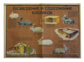 A SOVIET POSTER RABBIT BREEDING AND UPKEEP 1931