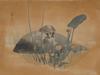 ANTIQUE JAPANESE OGATA GEKKO TURTLE PRINT C. 1900 PIC-1