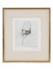 ROBERT ERNST MARX SIGNED SURREALIST ETCHING, 1976 PIC-0