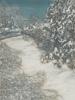 WINTER LANDSCAPE COLOR PRINT SIGNED LOIS POLANSKY PIC-1