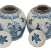 ANTIQUE CHINESE QING DYNASTY BLUE WHITE GINGER JARS PIC-4