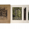 HAND COLORED WOOD BLOCKS PORTFOLIO BY FRANZ HEIN PIC-0