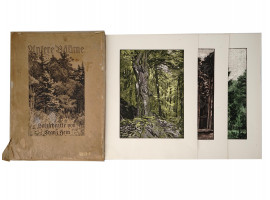 HAND COLORED WOOD BLOCKS PORTFOLIO BY FRANZ HEIN