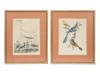 TWO COLOR LITHOGRAPHS BIRDS BY ALEXANDER LAWSON PIC-0