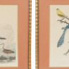 TWO COLOR LITHOGRAPHS BIRDS BY ALEXANDER LAWSON PIC-9