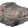 88 RUSSIAN SILVER BEAR ON RHODONITE BASE FIGURINE PIC-6