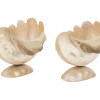 PAIR OF NACRE MOTHER OF PEARL SEA SHELLS VASES PIC-3
