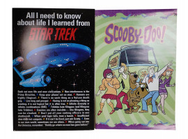 TWO VINTAGE WALL PRINTS STAR TREK AND SCOOBY DOO